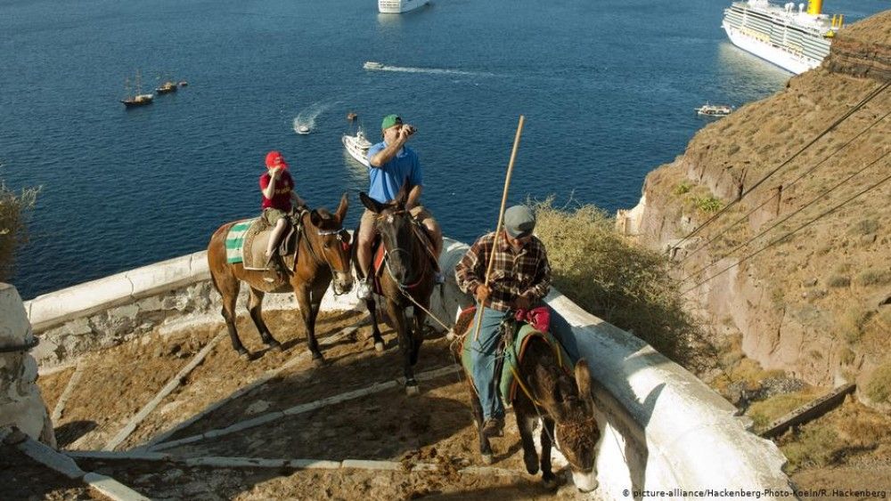 Συναγερμός για τα γαϊδουράκια της Σαντορίνης