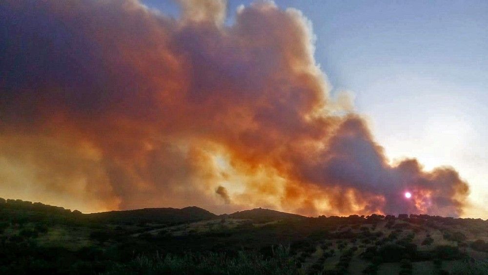 Πολύ υψηλός κίνδυνος για πυρκαγιά και την Τρίτη (15&#x2F;9) &#8211; Ποιες είναι οι «κόκκινες» περιοχές