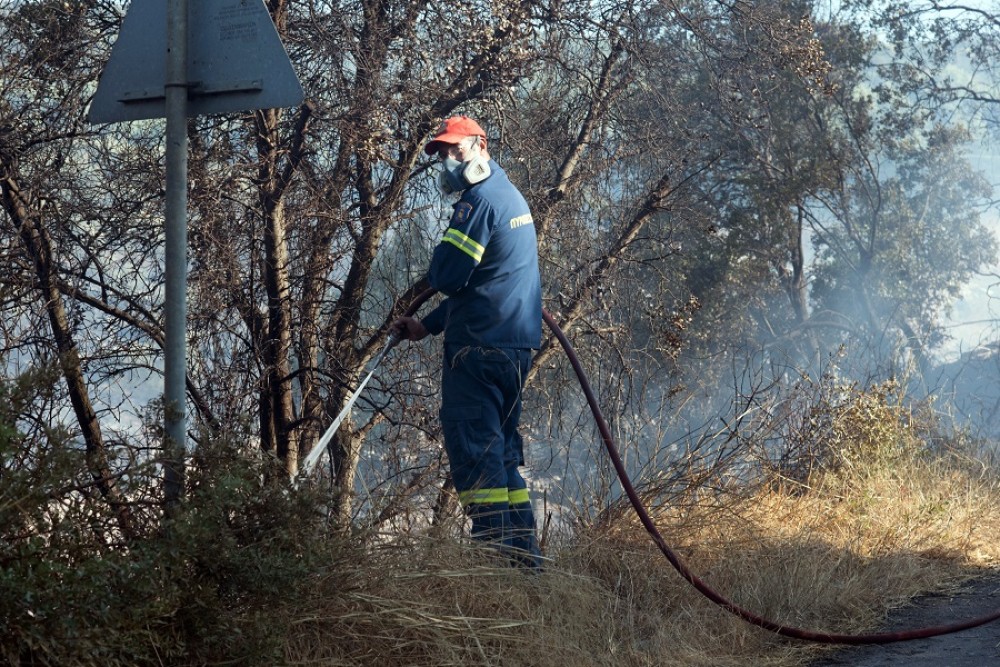 Φωτιά στον Νέο Βουτζά