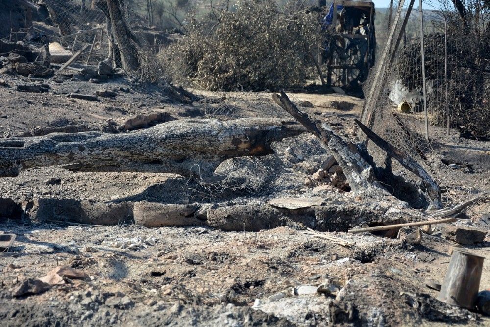 Πώς έβαλαν οι Αφγανοί τις φωτιές στη Μόρια (βίντεο-ντοκουμέντο)