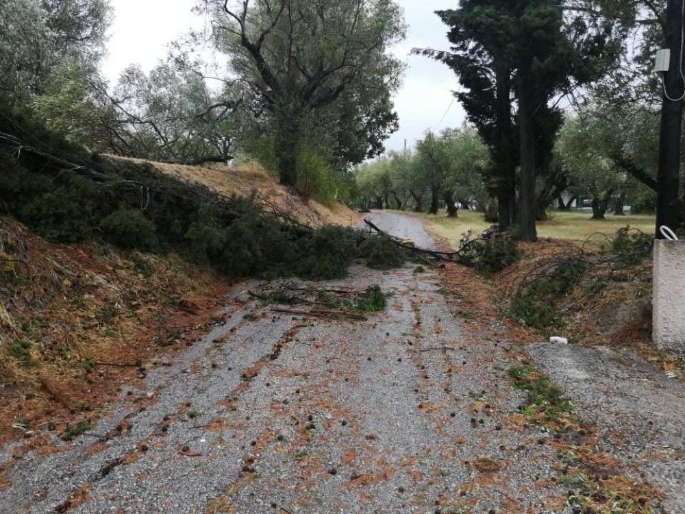 «Ιανός»: Θρίλερ στην Καρδίτσα &#8211; Μία αγνοούμενη οδηγός στο Μουζάκι