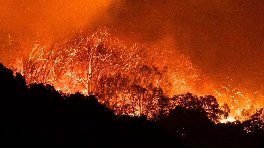 &#8220;Στάχτη&#8221; περισσότερα από 16 εκατ. στρέμματα εκτάσεων στην Καλιφόρνια