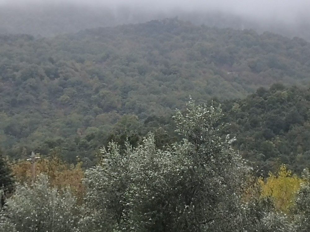 Τρίκαλα: Στην τελική ευθεία το &#8220;Σχέδιο Ασκληπιός&#8221;