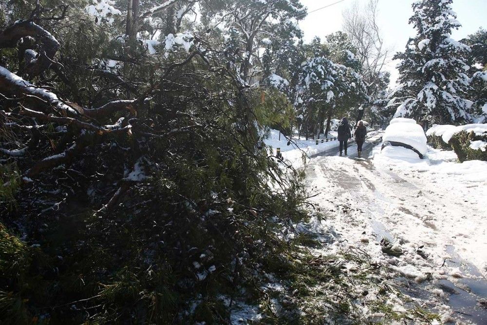 Δροσιά: Επιχείρηση απεγκλωβισμού ανήλικου με πυρετό