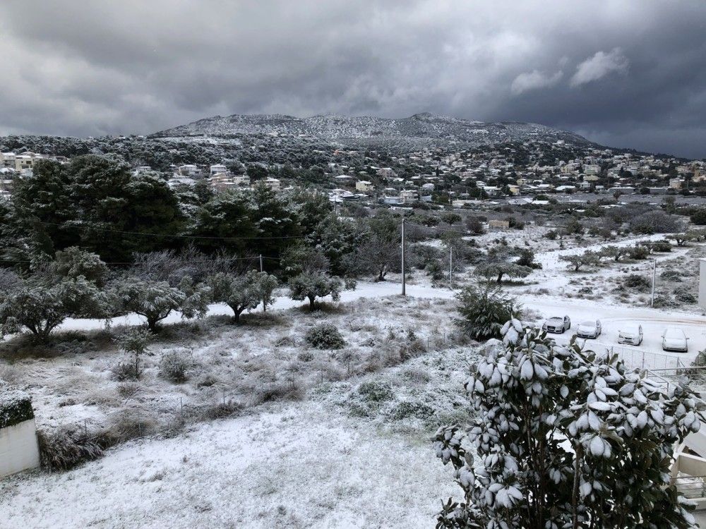 Το Πόρτο Ράφτη φόρεσε τα «λευκά» του –Όμορφες εικόνες από το χιόνι