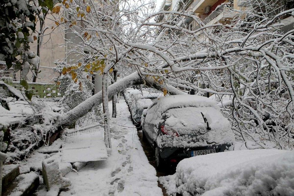 &#8220;Μήδεια&#8221;: Ολονύχτια μάχη για την ηλεκτροδότηση-Επί ποδός η Πολιτική Προστασία