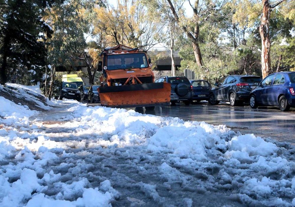 Αποζημίωση για ζημιές από πτώση δέντρων σε αυτοκίνητα-Τι ισχύει