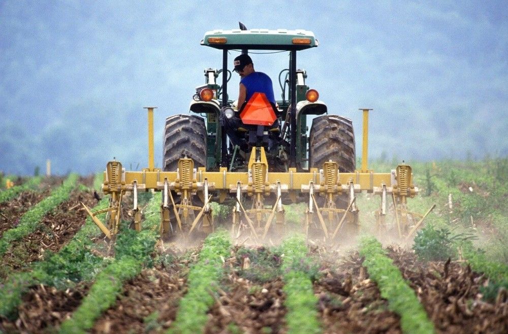 Ευκαιρίες για αγρότες και κτηνοτρόφους από &#8220;πράσινα&#8221; δίκτυα φυσικού αερίου