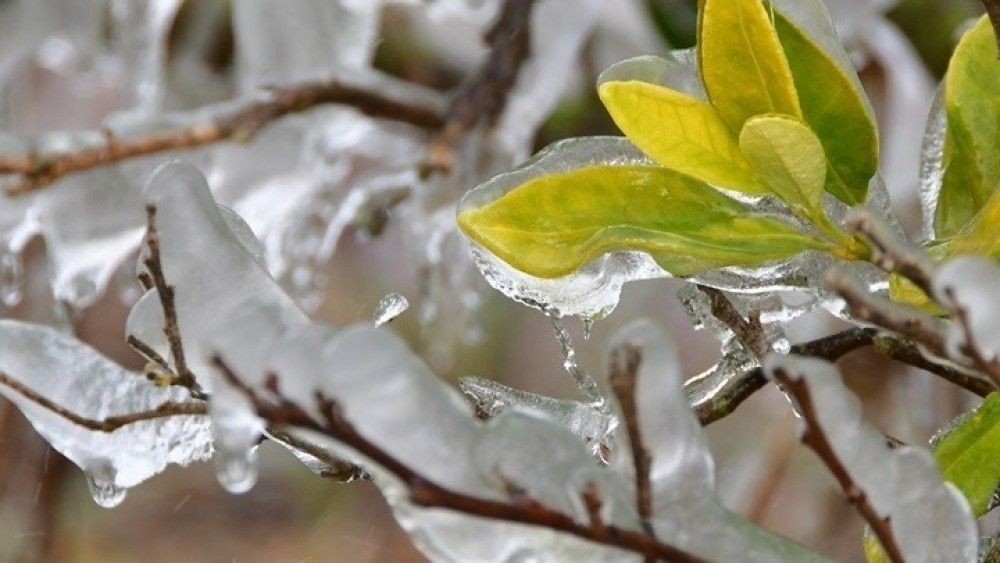 Ισχυρός παγετός στα βόρεια και κεντρικά