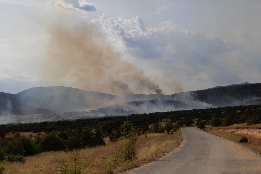 Πυρκαγιά στην Καμηλόβρυση Λαμίας &#8211; Καίει χαμηλή βλάστηση