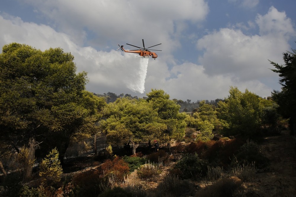 Πυρκαγιά σε δασική έκταση στην Καλλιθέα Ηλείας &#8211; Ένας νεκρός