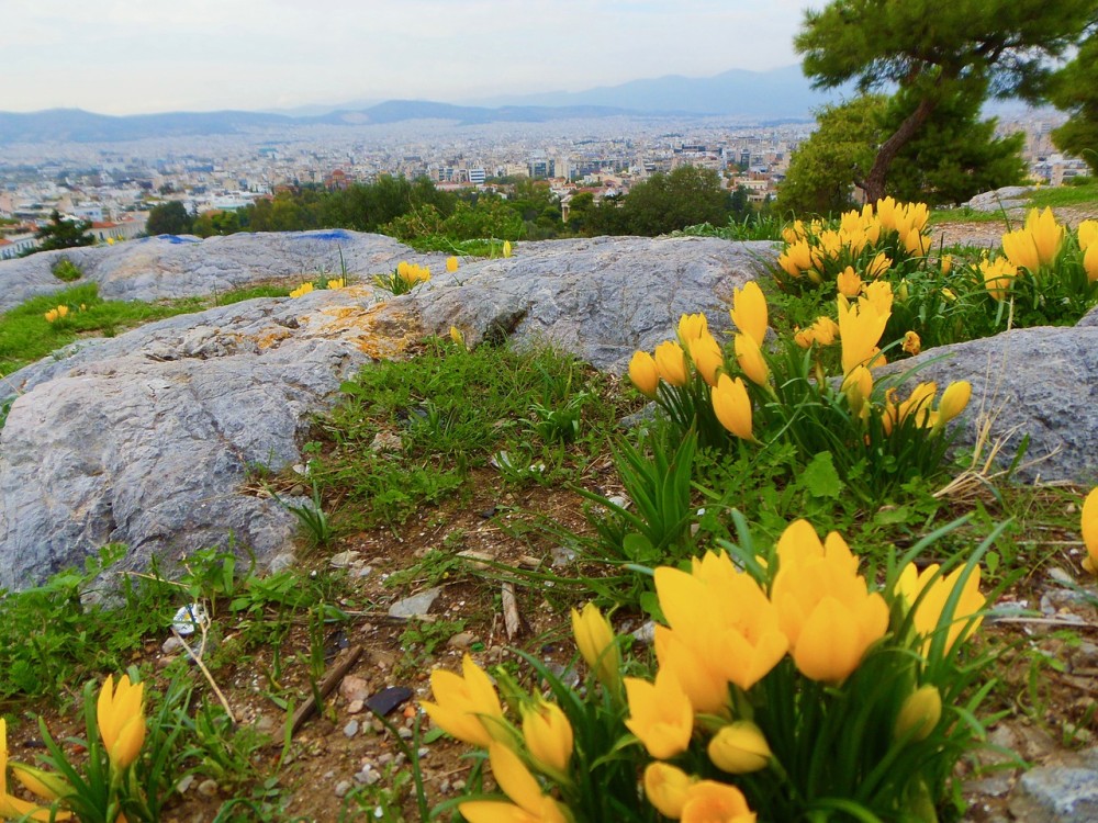 Η αλλαγή ώρας και οι συνέπειές της στην ψυχική και σωματική σφαίρα