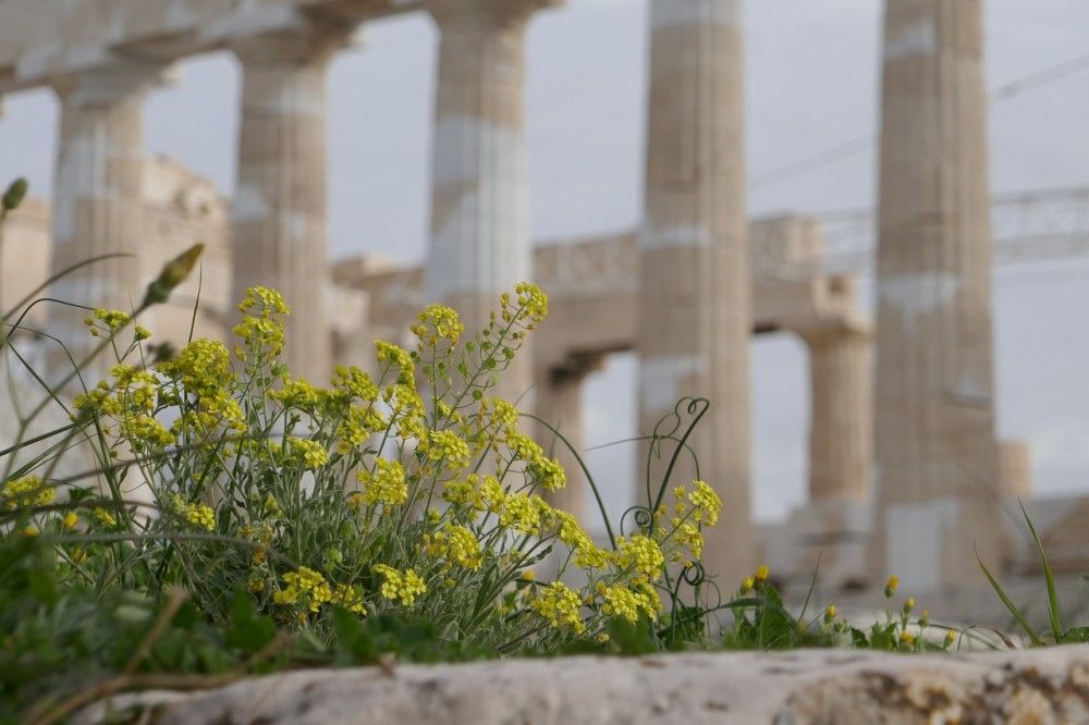 Καιρός: Αίθριος με αραιές νεφώσεις