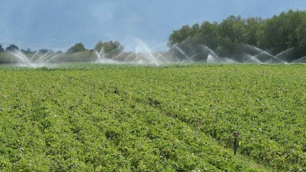 ΥΠΑΑΤ: Συζήτηση για την αναμόρφωση των ΤΟΕΒ