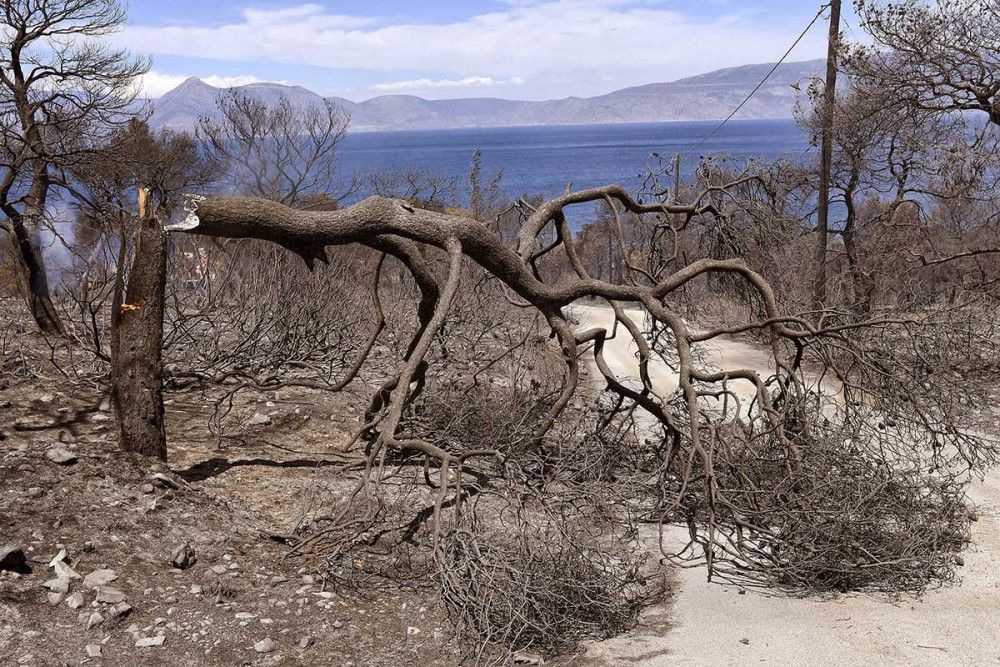 Ολονύχτια μάχη με τις φλόγες στα Γεράνεια-Διάσπαρτες εστίες φωτιάς