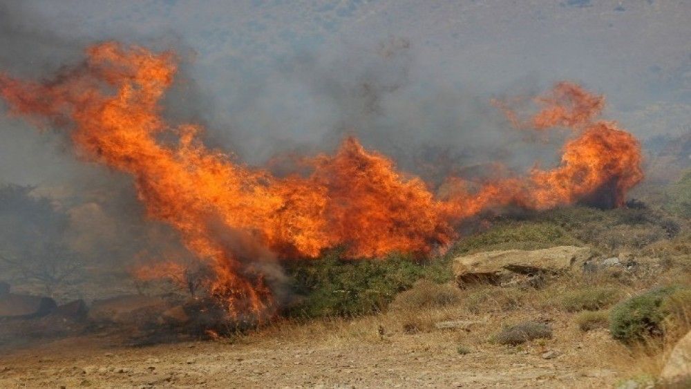 Πυρκαγιά σε δασική έκταση στη Βροχίτσα Πύργου