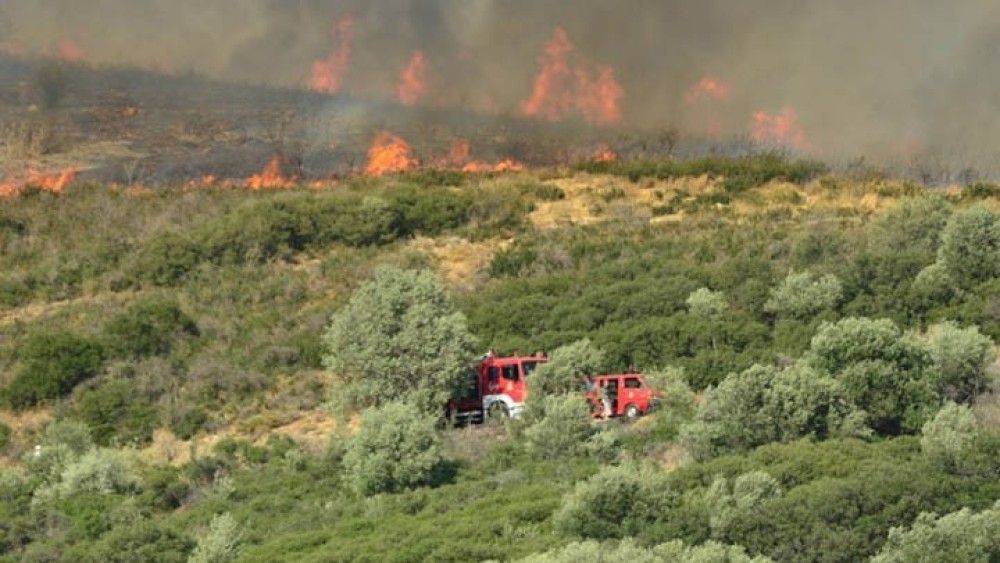 Ηλεία: Υπό μερικό έλεγχο βρίσκεται η φωτιά στην Κυανή Ακτή