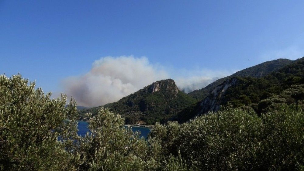 Υπό πλήρη έλεγχο η πυρκαγιά στη Σάμο