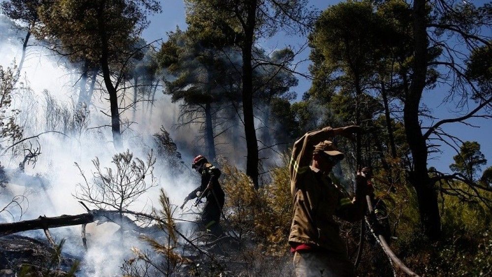 ΥΠΕΝ-ΤΕΕ: Σε χρόνους “ρεκόρ” οι μελέτες για την αποκατάσταση των πυρόπληκτων περιοχών σε Ν. Μάκρη και Ραφήνα