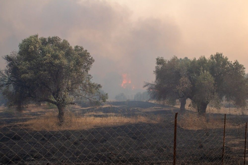 Ρόδος: Μάχη με τις αναζωπυρώσεις, προληπτική εκκένωση του χωριού Μαριτσά