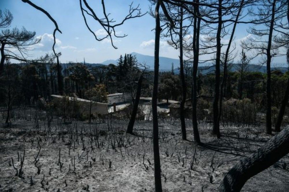 Τεράστιο κύμα αγάπης για τους πυρόπληκτους