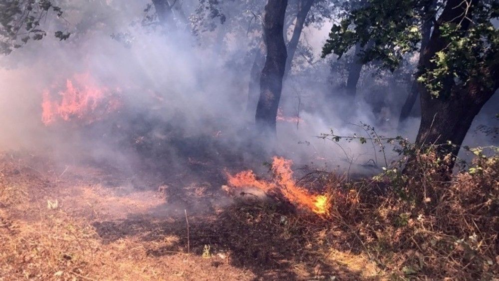 Φωτιά στη Φούρκα Κασσάνδρας: Δεν απειλεί τον οικισμό