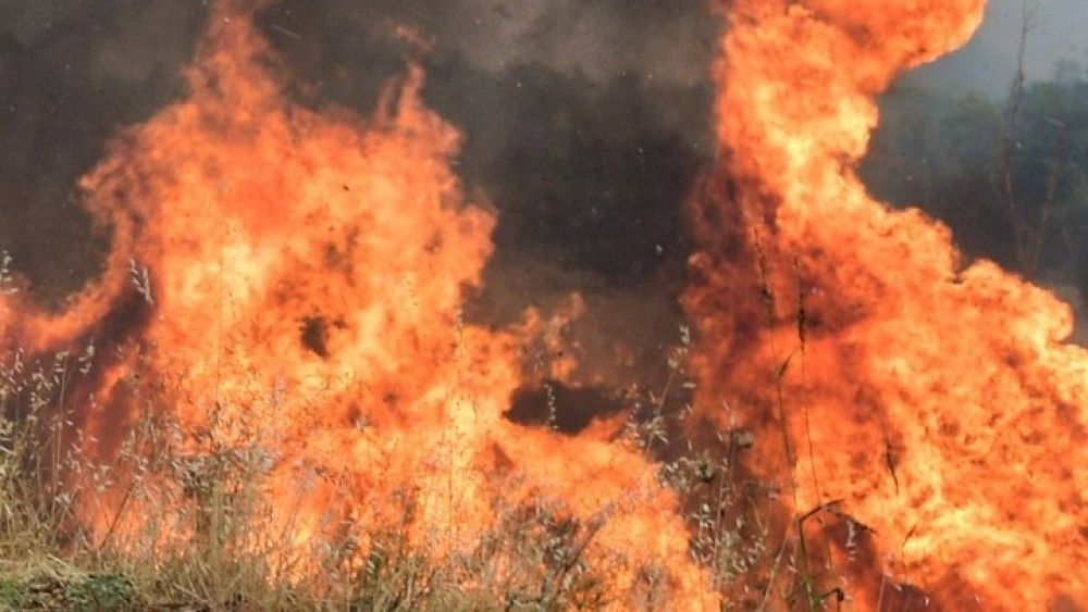 Όταν ξανακάηκαν ταυτόχρονα η Εύβοια, η Αττική και η Ηλεία