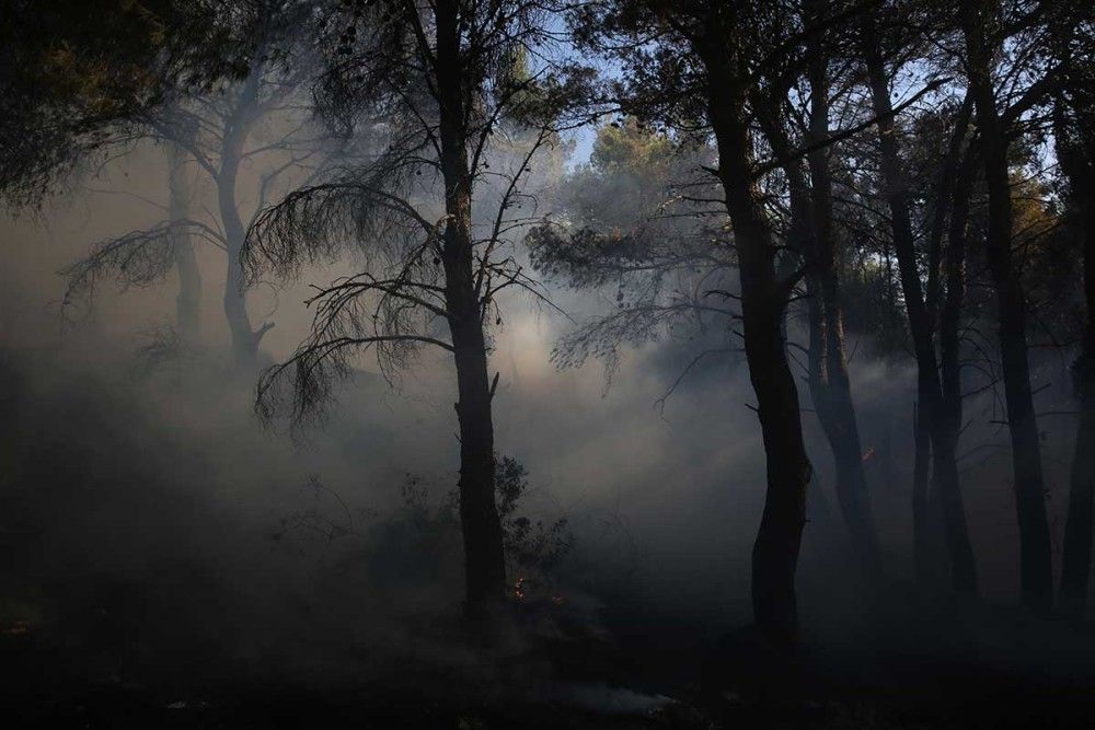 ΚΕΔΕ: Τραπεζικός λογαριασμός για την αναδάσωση των καμένων εκτάσεων