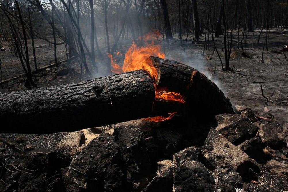 Ανθρωποφαγία στα αποκαΐδια με στόχο την κυβέρνηση