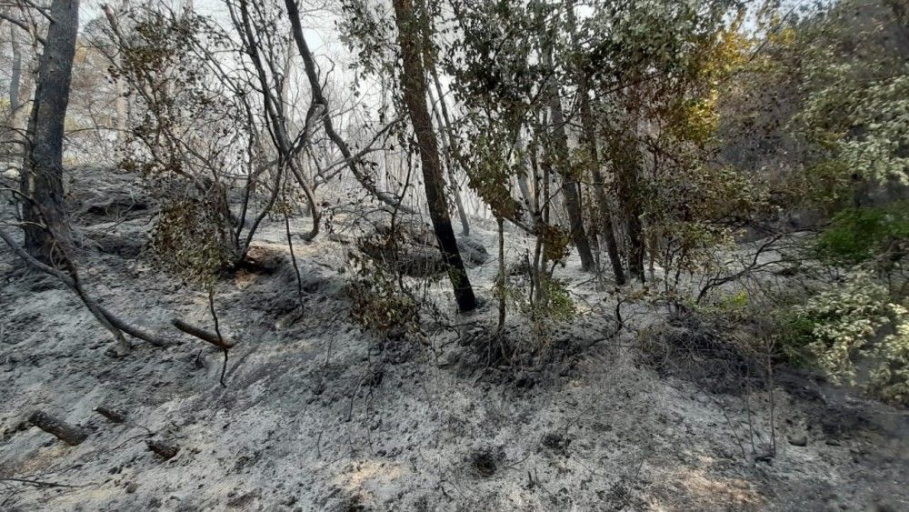 Παρέμβαση εισαγγελέα για τον ταξίαρχο που ζήτησε «πολιτικό μέσο» για να στείλει πυροσβεστικό