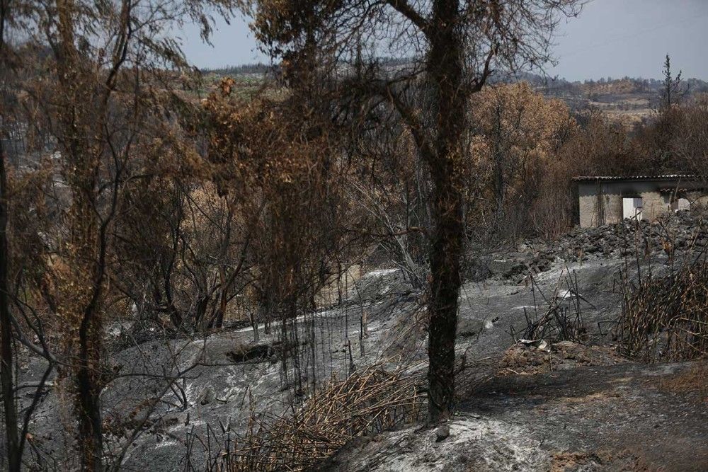 Πατούλης – Άμεσα αντιπλημμυρικά έργα στην Αττική