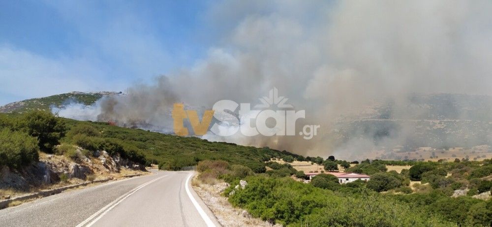 Εύβοια – Υπό έλεγχο η φωτιά στις Πετριές