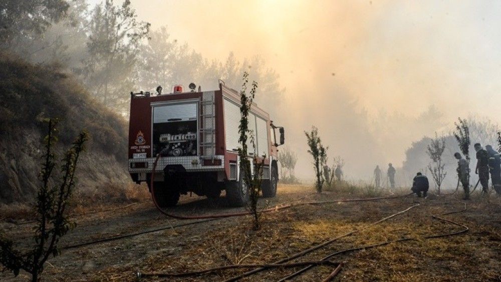 Φωτιές-ΕΛΓΑ: Διευκόλυνση των παραγωγών στην υποβολή των δηλώσεων ζημιάς