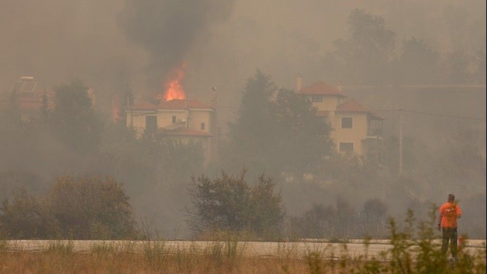 Δύο προσαγωγές για τις φωτιές σε Κρυονέρι και Φωκίδα