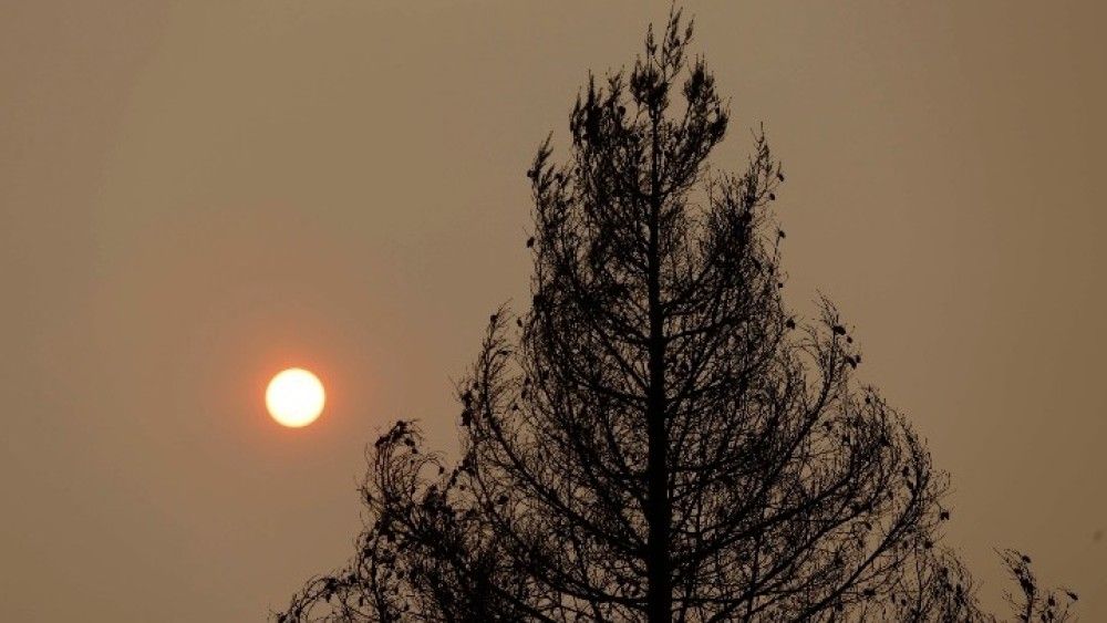 Κύμα καύσωνα και πυρκαγιές πλήττουν την Ιταλία