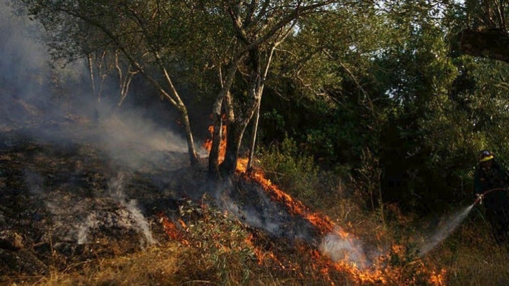 Νέα φωτιά στην Ανατολική Μάνη