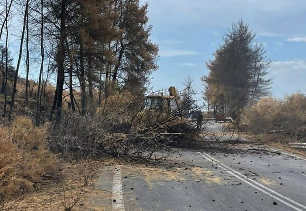 Σε εξέλιξη οι καθαρισμοί δρόμων και τα έργα υλοτομίας στα καμένα της Εύβοιας