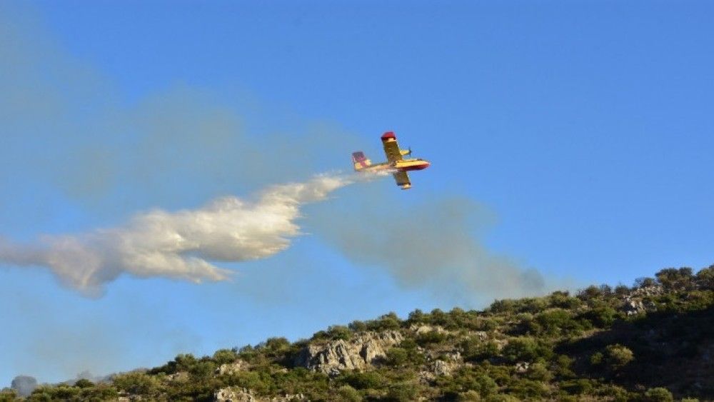 Βελτιωμένη η εικόνα από τη φωτιά σε δύσβατη δασική περιοχή στο Άγιον Όρος