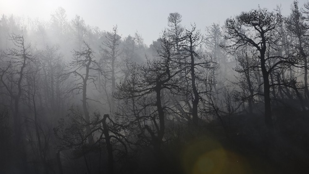 Σε ύφεση η φωτιά στα Βίλια &#8211; Τριάντα μία δασικές πυρκαγιές το τελευταίο 24ωρο σε όλη τη χώρα