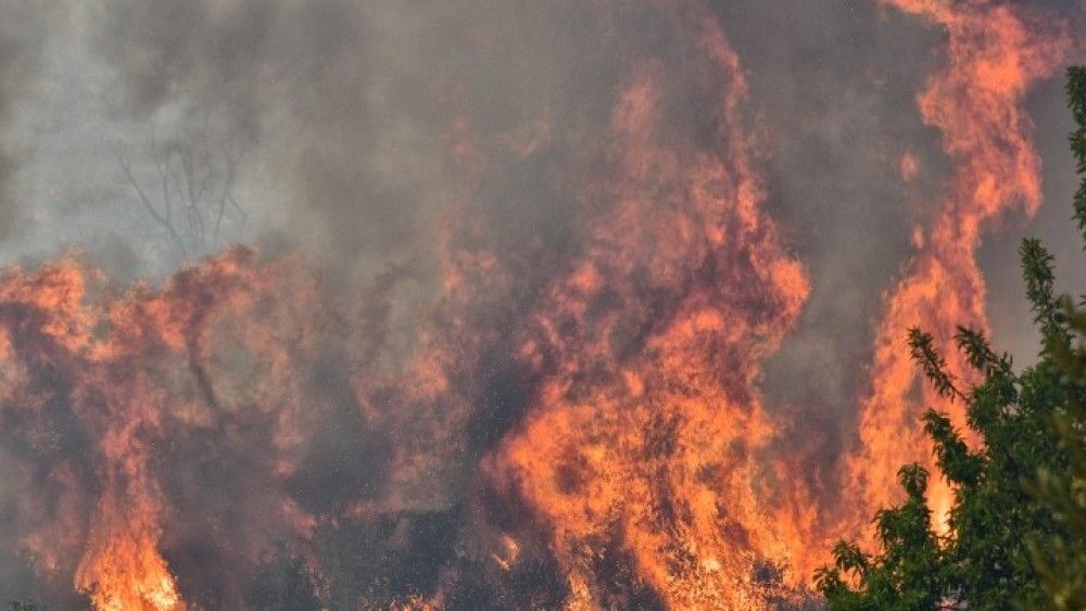 Μεγάλη φωτιά στο Λογγίτσι Φθιώτιδας