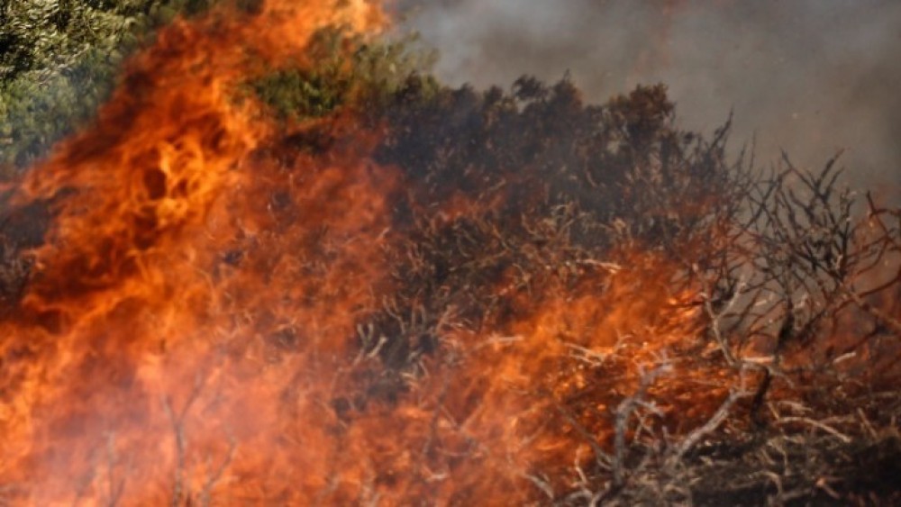 Πήρε ΦΕΚ η επιχορήγηση αγροτικών εκμεταλλεύσεων για τους πυρόπληκτους