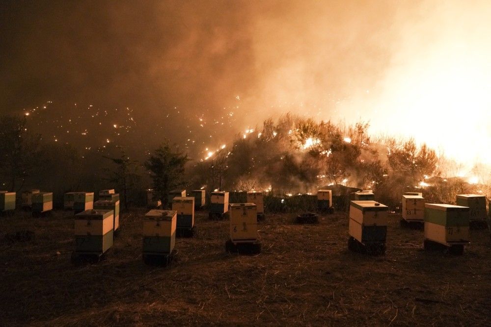 Πακέτο Μέτρων Στήριξης Μελισσοκόμων Πυρόπληκτων Περιοχών