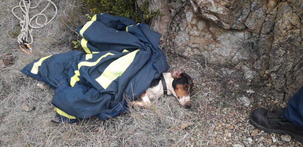 Σκύλος έπεσε σε πηγάδι-Τον έσωσε η ΕΜΑΚ