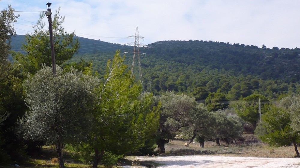 ΠΑΟΔΗΠ: Διοργανώνει τo «1ο Υμηττός ΜountainFestival» στα Γλυκά Νερά