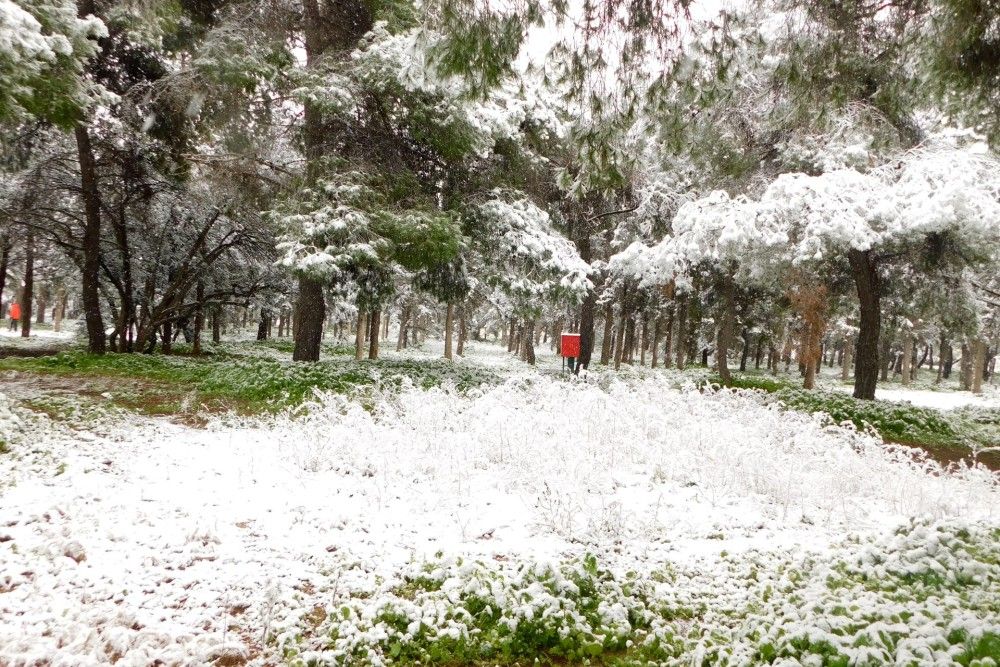 Kλειστά και την Τετάρτη (26&#x2F;1) τα σχολεία στην Αττική