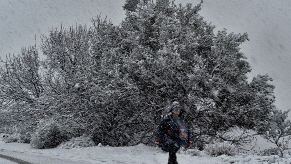 Στην κατάψυξη η χώρα: Αρνητικό ρεκόρ στη Φθιώτιδα με -18,1 βαθμούς