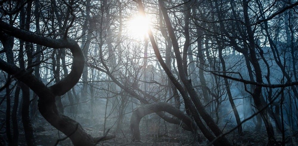 Ενίσχυση των κτηνοτρόφων της Βόρειας Εύβοιας-Τριαντόπουλος: Στηρίζουμε τους πληγέντες