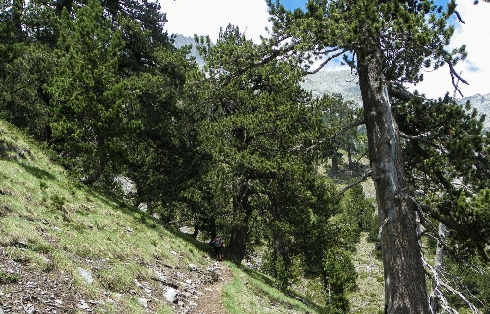 Διάσωσης τραυματία ορειβάτη στις Σέρρες