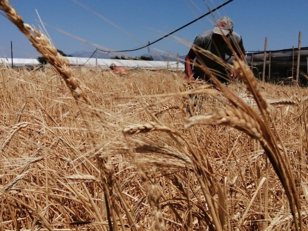 Ένας σιτοβολώνας από τα παλιά, στην τουριστική Ιεράπετρα