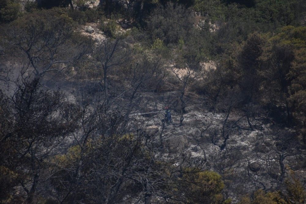 Σε ύφεση οι φωτιές σε Ζαχάρω και Ροδιές Ηλείας